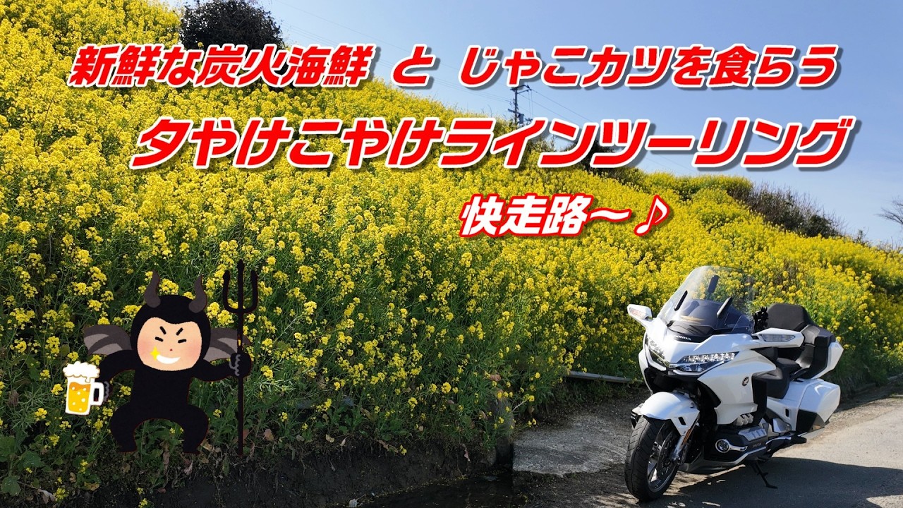 海鮮炭火焼き&じゃこカツを食らう 夕やけこやけライン ツーリング