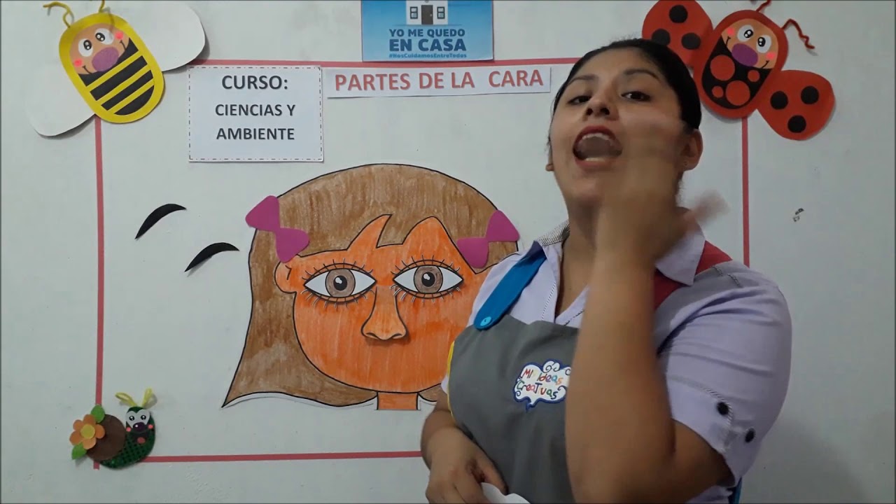 PARTES DE LA CARA, aula 3 años, nivel inicial