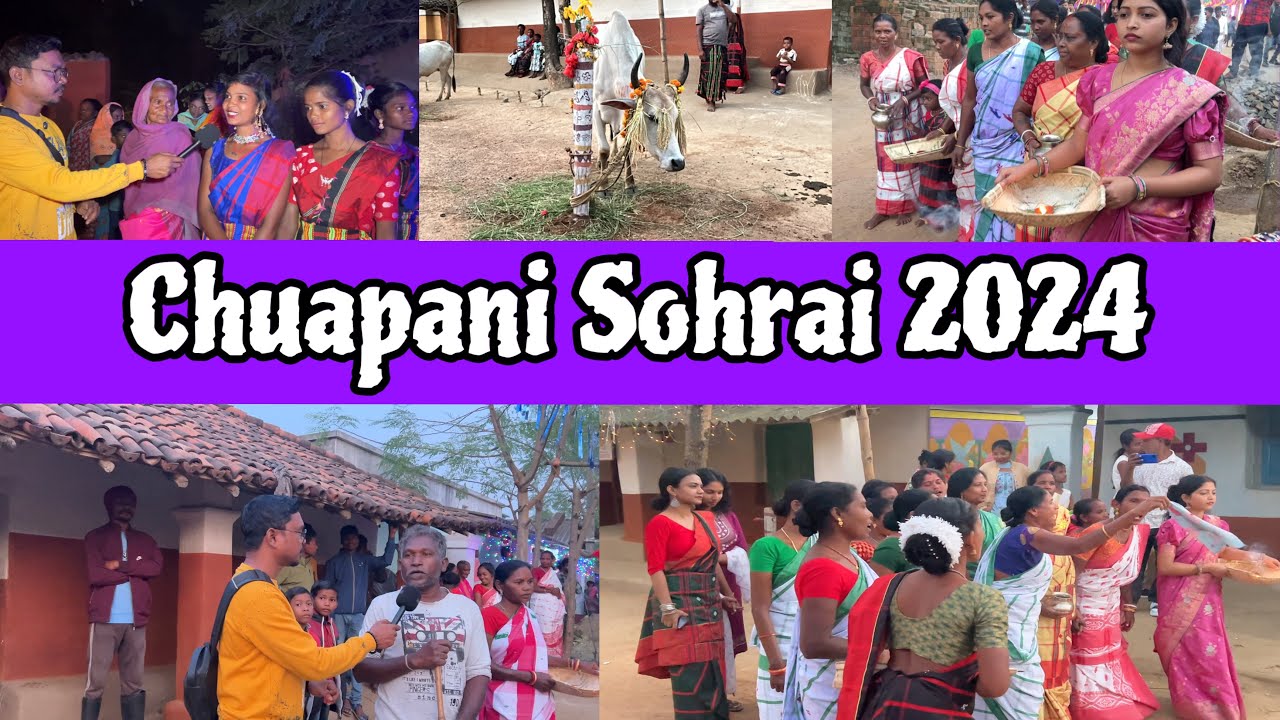Chuapani Kunami Sohrai 2024 || Narsing Hembram Vlog
