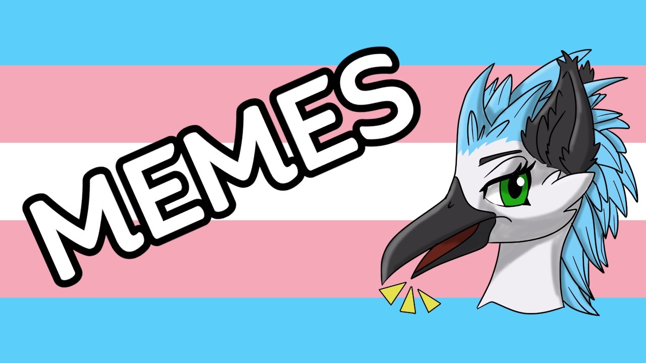 Fiaura Views Memes of her People
