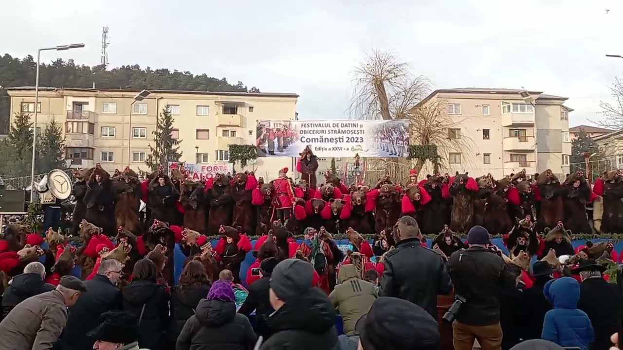 Ursul din Lăloaia, Comănesti 2023 !