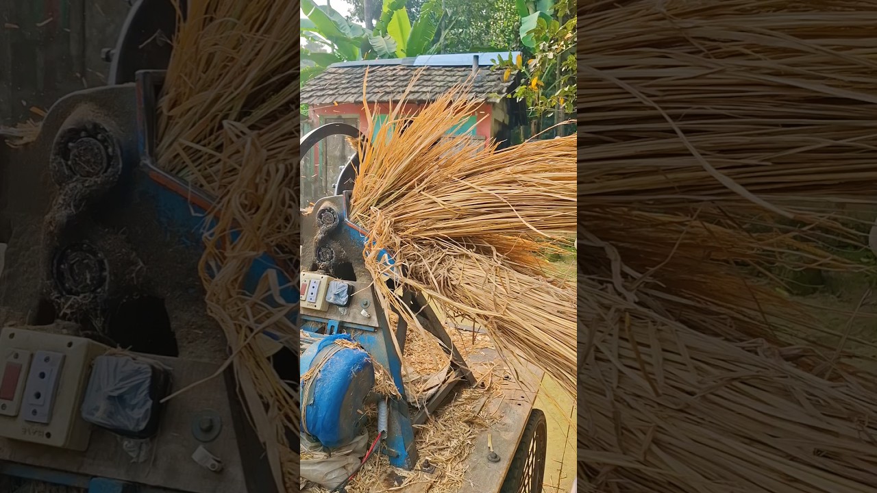 Hay is being cut with bales for cows using an electric motor. #shorts #youtube #trending