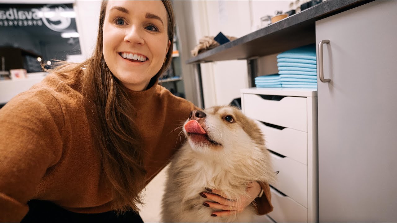 Taking my dramatic dog to the vet in Longyearbyen | SVALBARD
