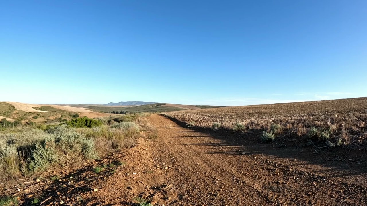 Renosterveld Quading