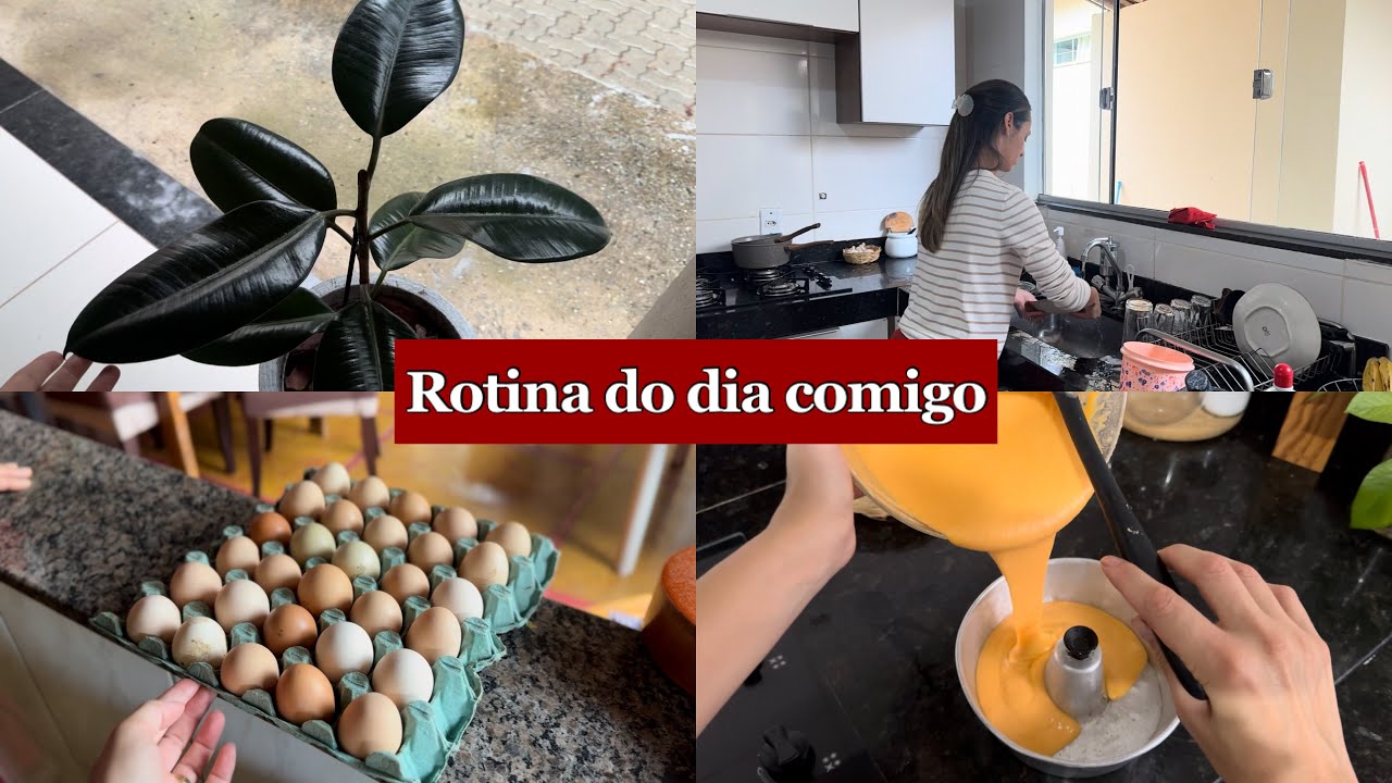 VLOG: rotina do meu dia | podei minha fícus pela primeira vez | bolinho pro café | Léia veloso