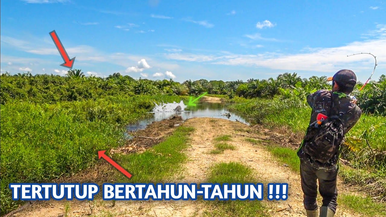 DANAU TERTUTUP BERTAHUN2 MELUAP HINGGA PENGHUNINYA BERKELUARAN 😱