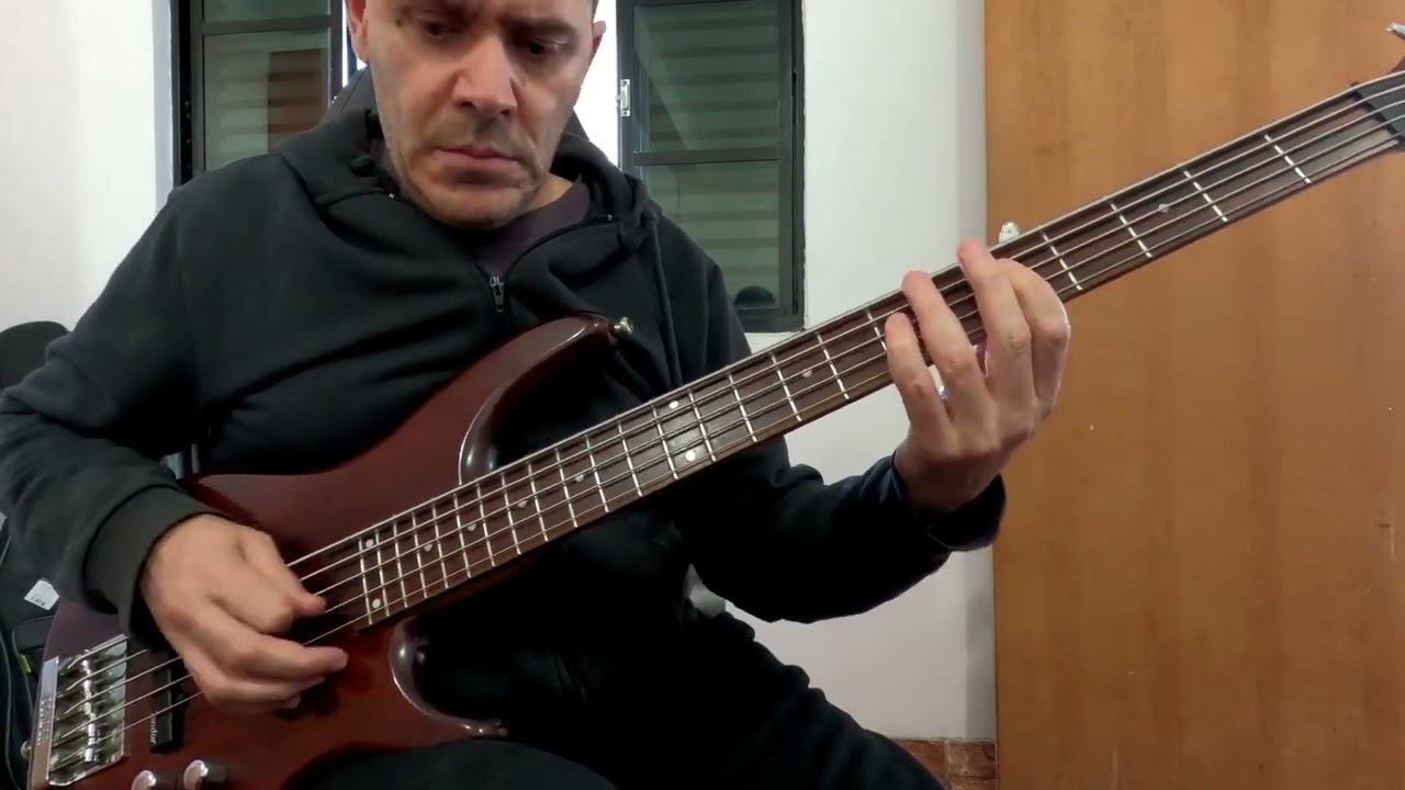 Basss Cover   Echo & The Bunnymen   The Killing Moon