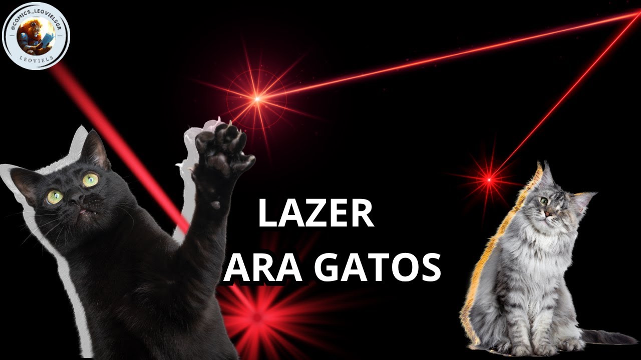 Video para #gatos | #lazer