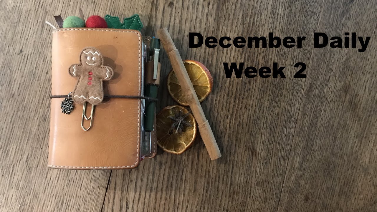 December Daily in my Chic Sparrow PassPort Plus TN (Week2)