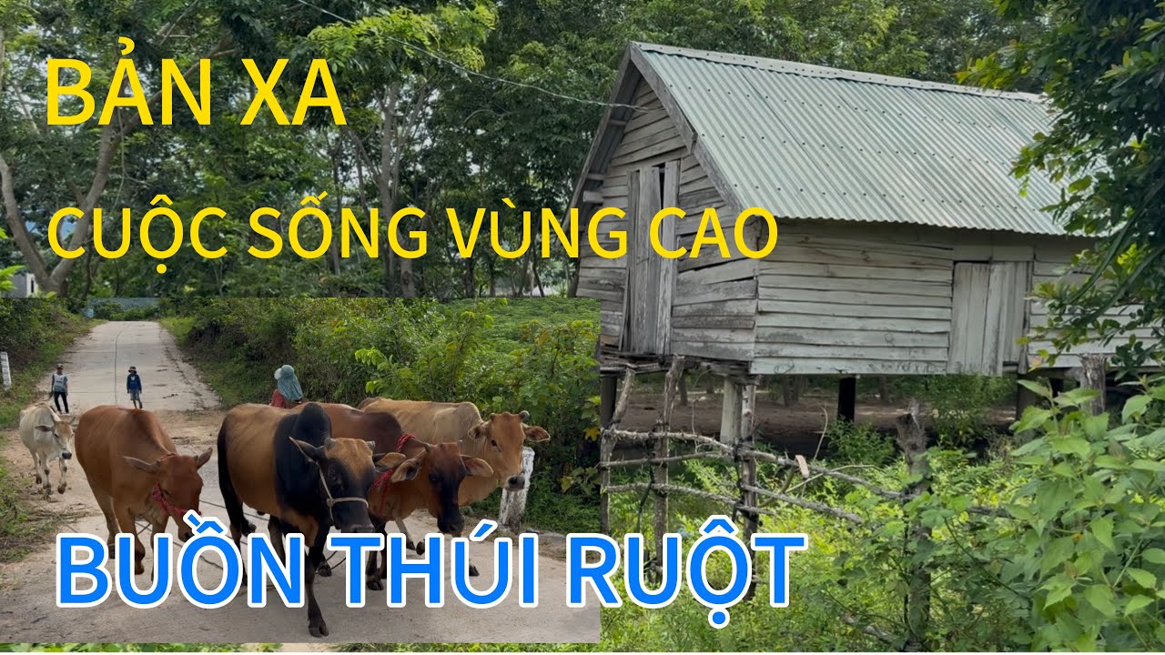 Kh&aacute;m ph&aacute; cuộc sống  người đồng b&agrave;o x&atilde; la Ml&aacute;h tỉnh Gia Lai 