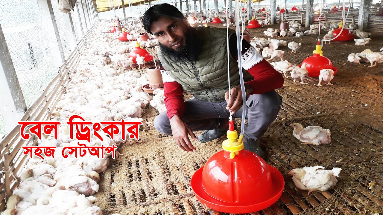 বেল ড্রিংকার/জাম্বু ড্রিংকার সহজ সেটআপ পদ্ধতি ।। 01988883103 ।। How to install Bell Drinker