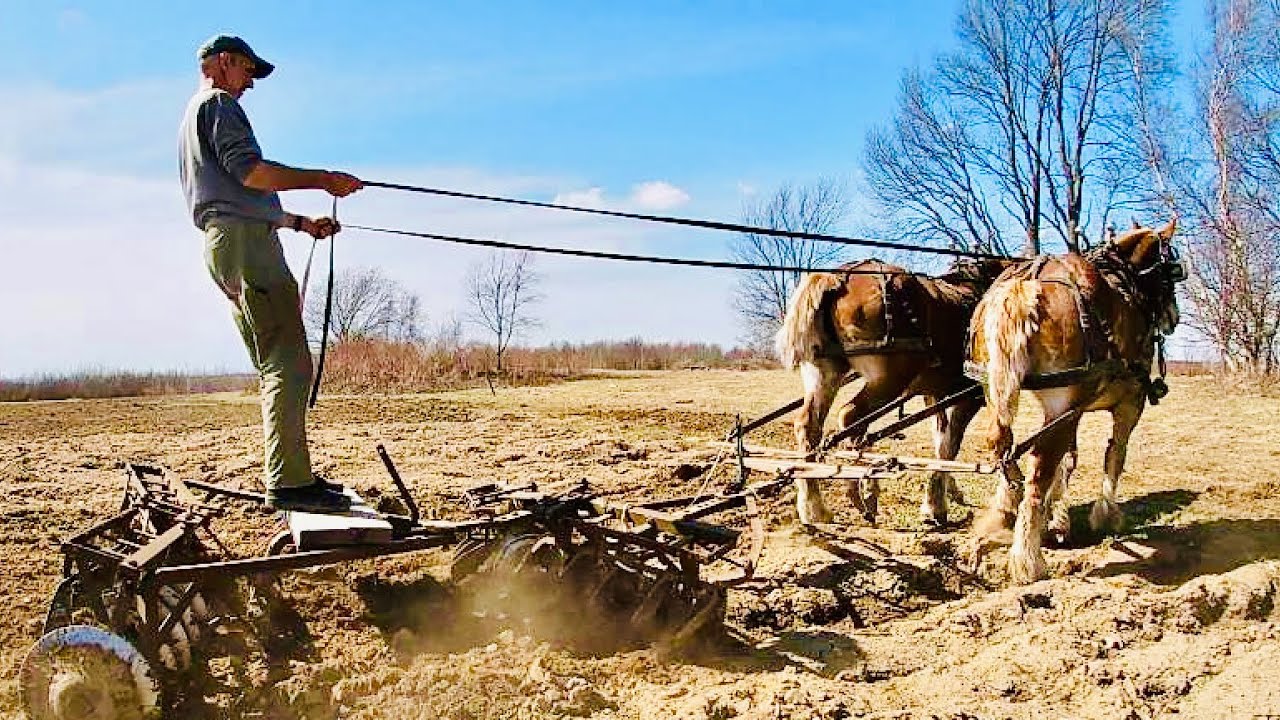 Draft Horses Disking // Woodmizer Sawing Fence Posts