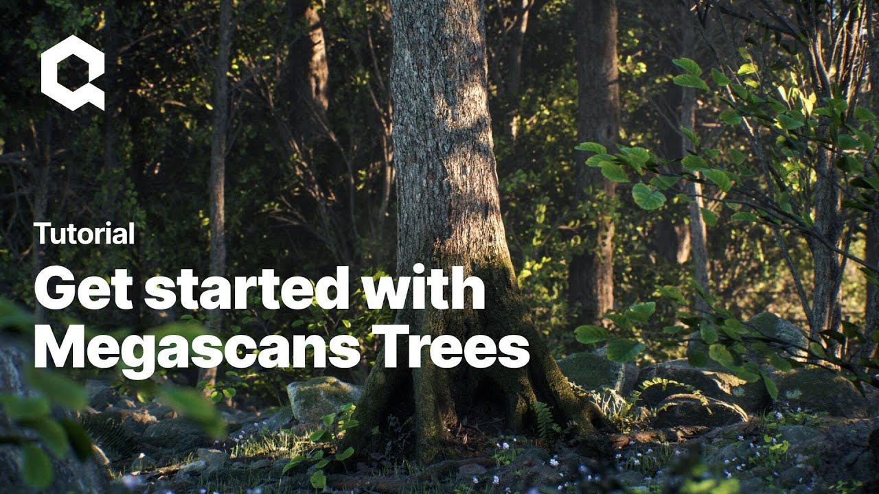 Get started with Megascans Trees