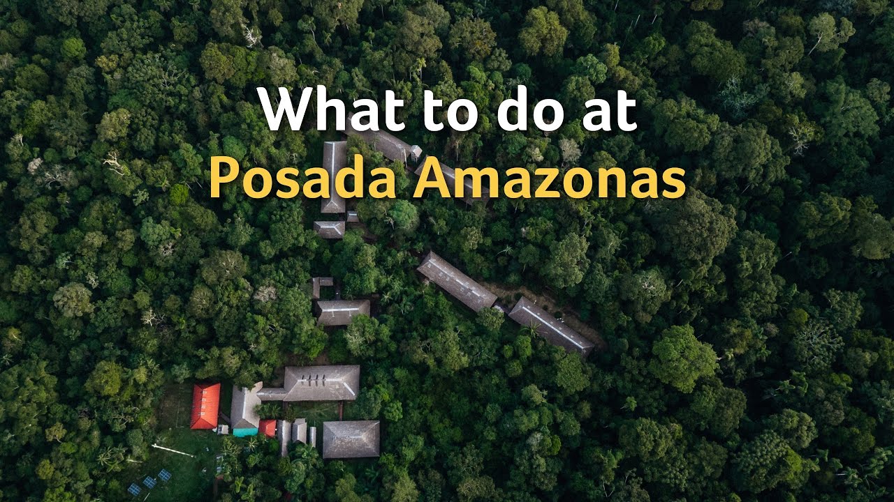 What to Do at Posada Amazonas | Your Gateway to the Peruvian Amazon