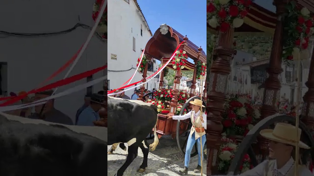 salida Romería de San Mamés de Aroche (Huelva) 2024