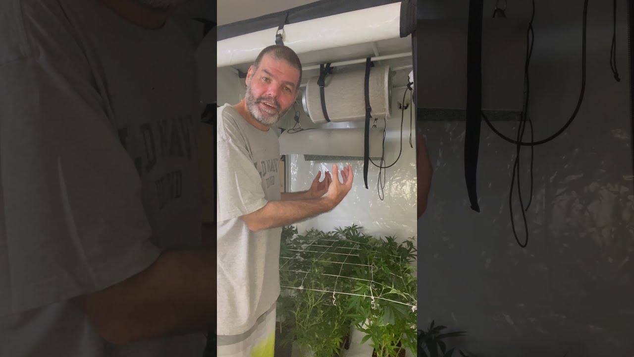 Como APROVEITAR o seu espa&ccedil;o de cultivo AO M&Aacute;XIMO!