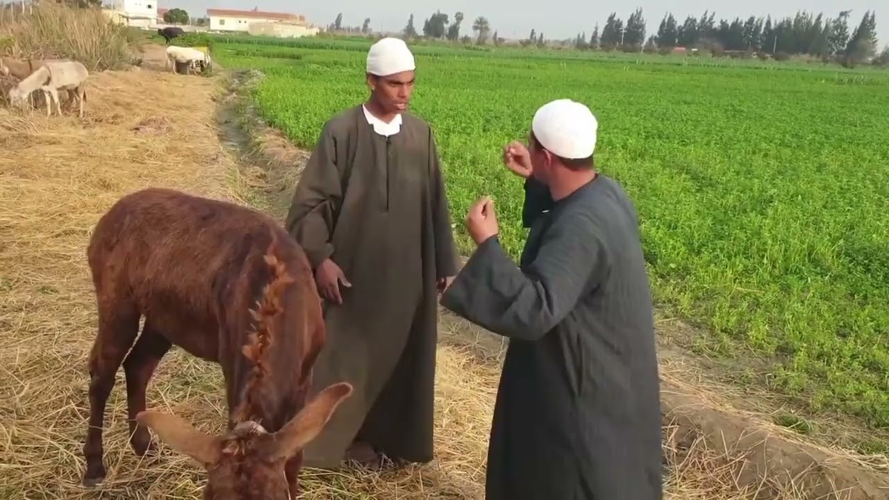 ٩ فبراير ٢٠٢٦