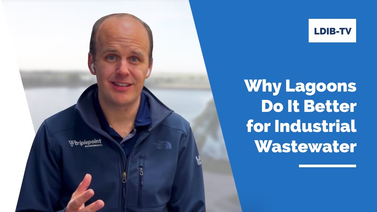 Why Lagoons Do It Better for Industrial Wastewater Treatment