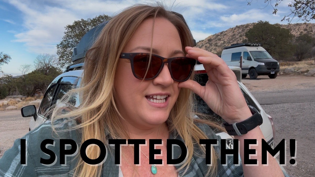 STALKER in the PARKING LOT! | LIVING IN MY SUV | 