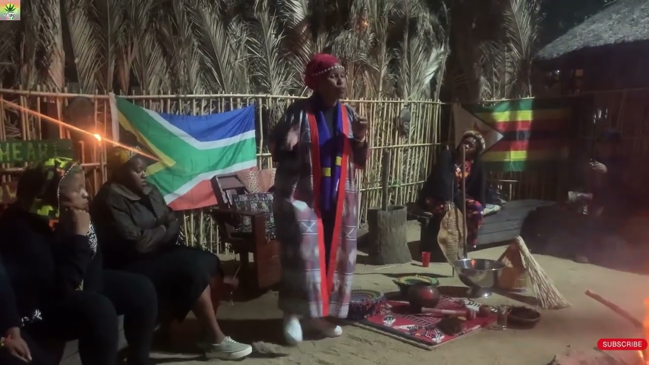 Gogo Dr Khanyisile Litchfield-Tshabalala |Unplugging from the Systemzzzzz