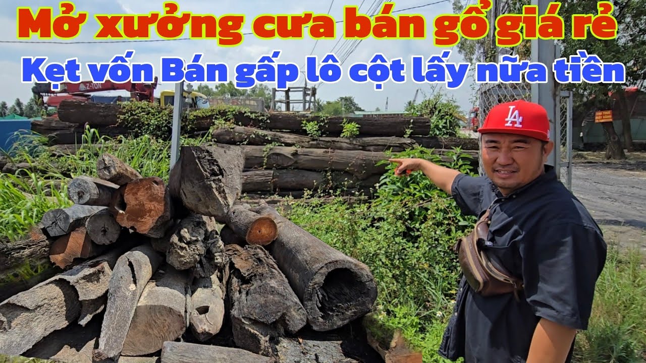 Mở xưởng cưa kẹt vốn thanh lý gấp lô cây Vip bán lổ lấy lại nữa giá tiền 