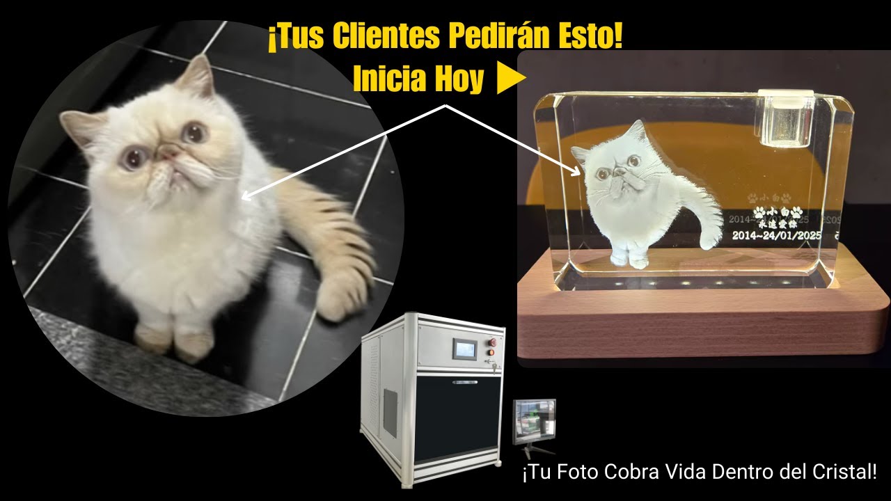 "¡INCREÍBLE MÁQUINA LÁSER 3D! 🎁 Personaliza Cristales con Tecnología Verde (Funciona en 30 segundos)