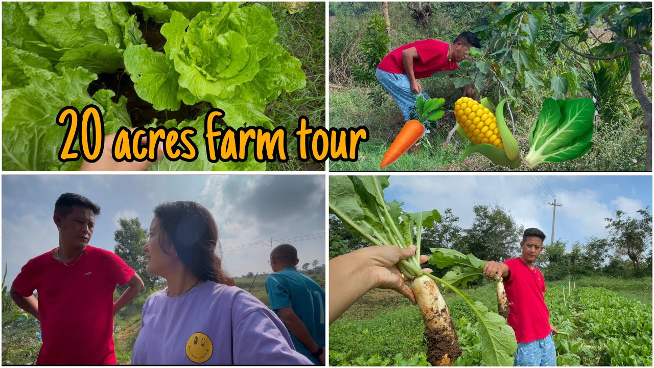 My hard working brother and his farm #dechensky #tibetanyoutuber #tibetanvlogger #kollegal #farmlife