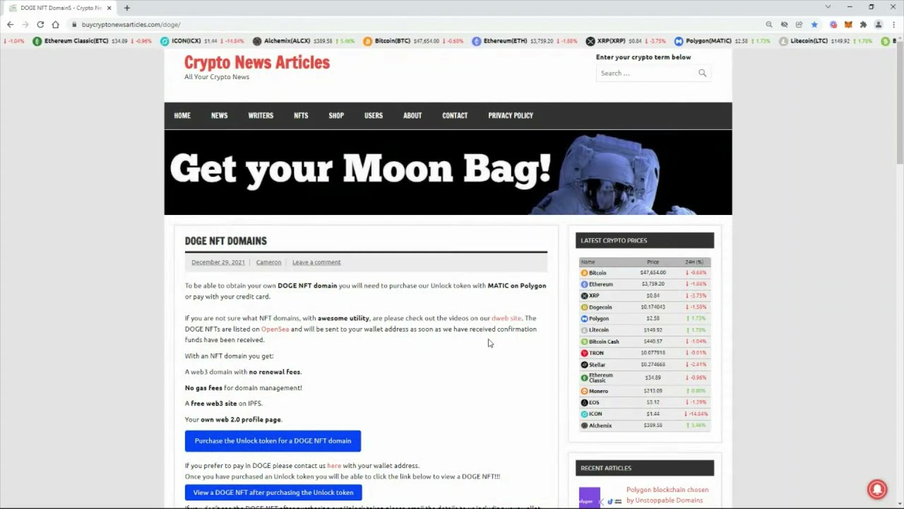 DOGE NFT Domains