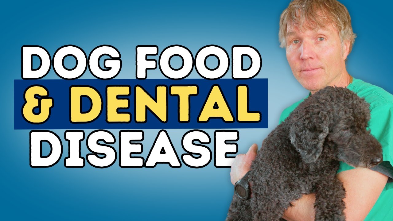 Is Your Dog&rsquo;s Food Causing Dental Disease? 5 Natural Ways to Clean Your Dog&rsquo;s Teeth at Home