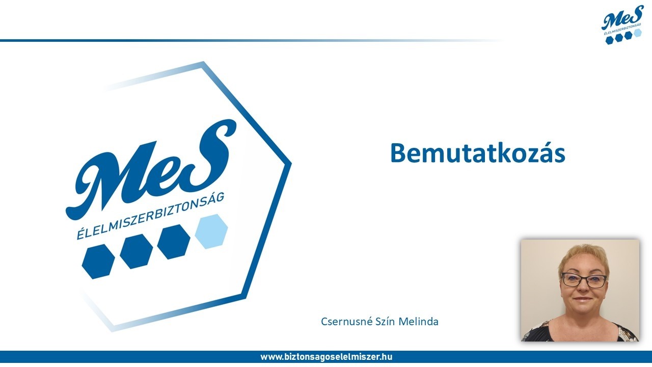 Bemutatkozás MeS