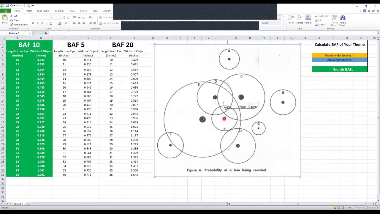 Creating Your Own Angle Gauge to Estimate Basal Area in Forestry