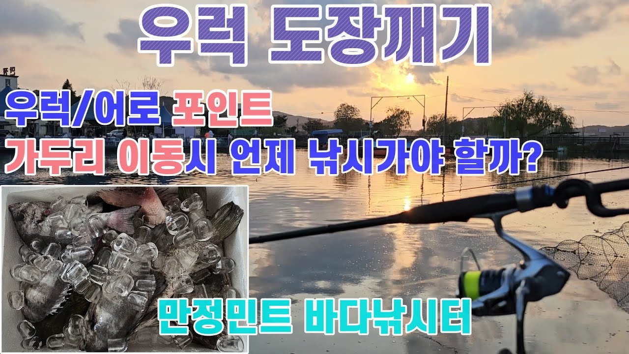 [유터낚시] 영종도 만정민트바다낚시터, 우럭 도장 깨기 도전!, 가두리를 이동 시킨다면 언제 낚시를 가야 할까?( 10월 24일 출조 )