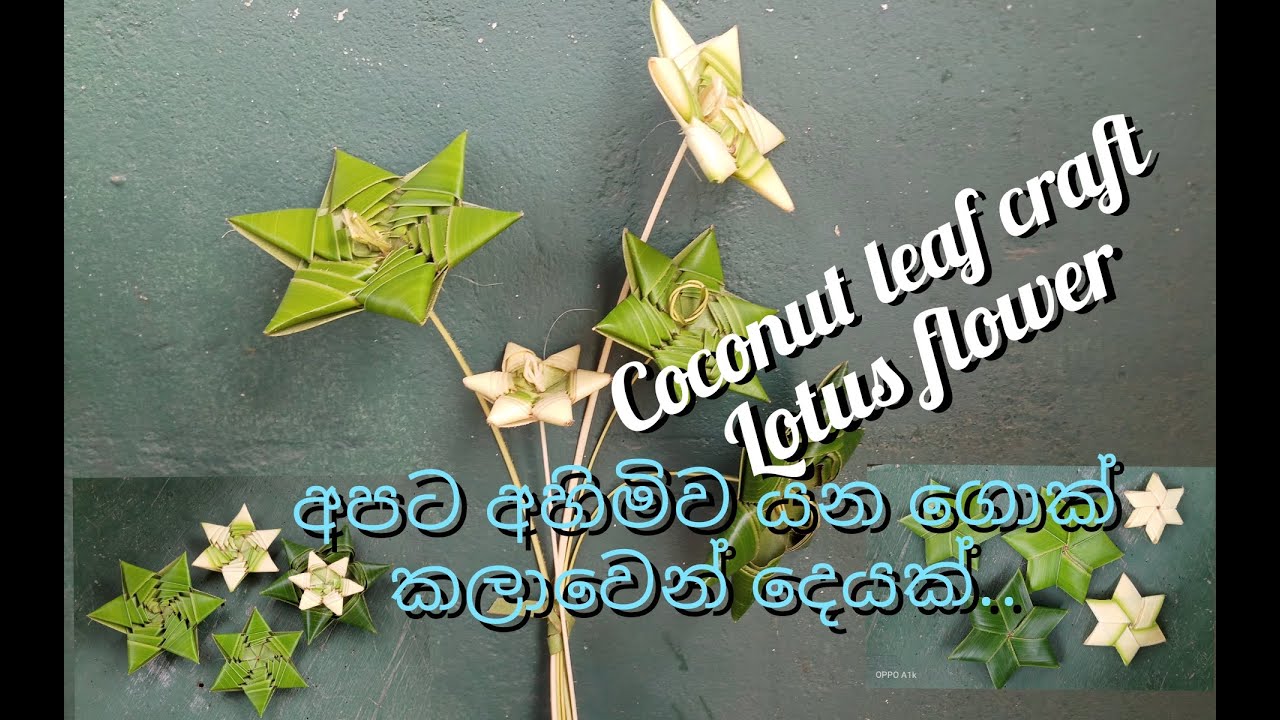 How to make a Lotus flowe with Coconut leaf ගොක් කොළ වලින් නෙළුම් මලක් සාදන ආකාරය