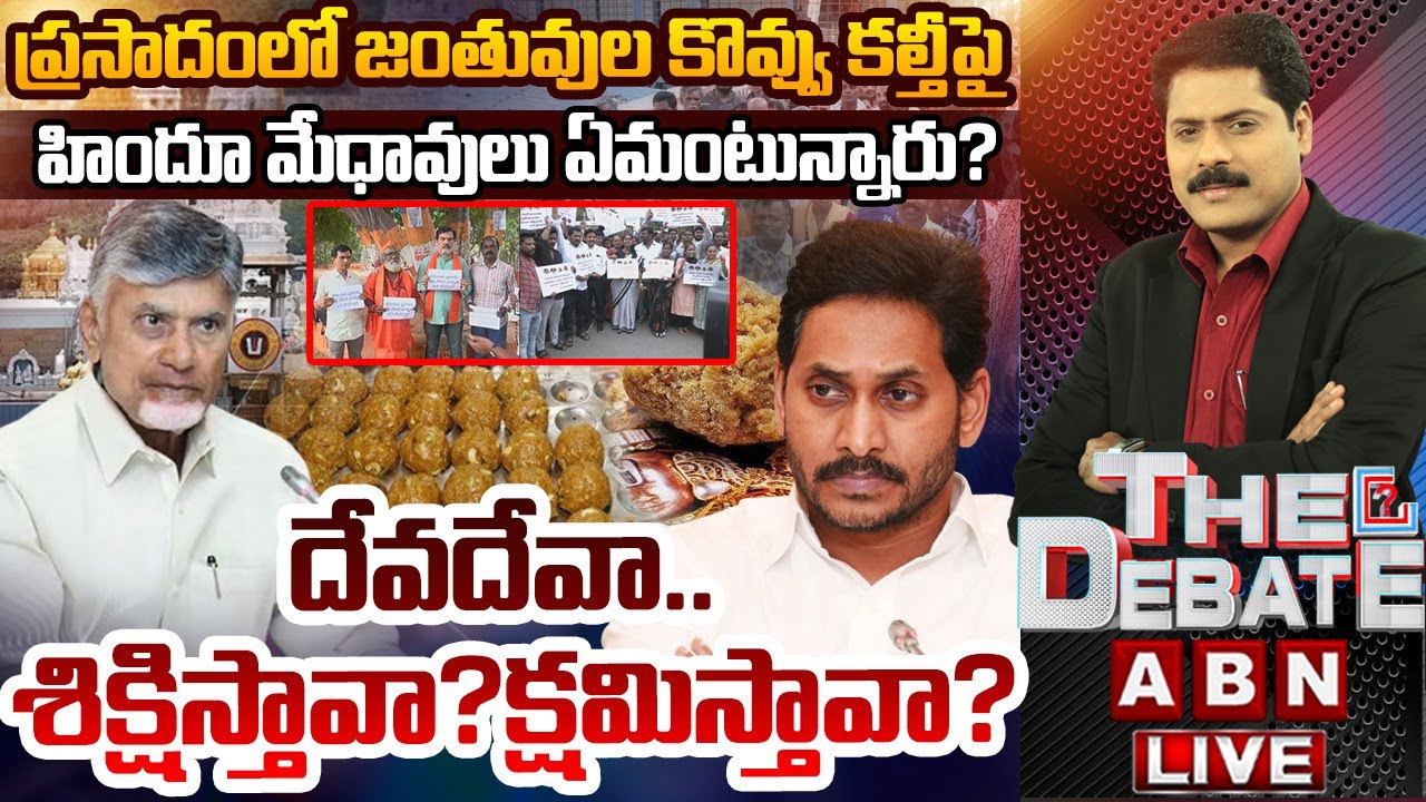 దేవదేవా.. శిక్షిస్తావా..?క్షమిస్తావా..? || THE DEBATE || Tirupati Laddu Controversy || ABN