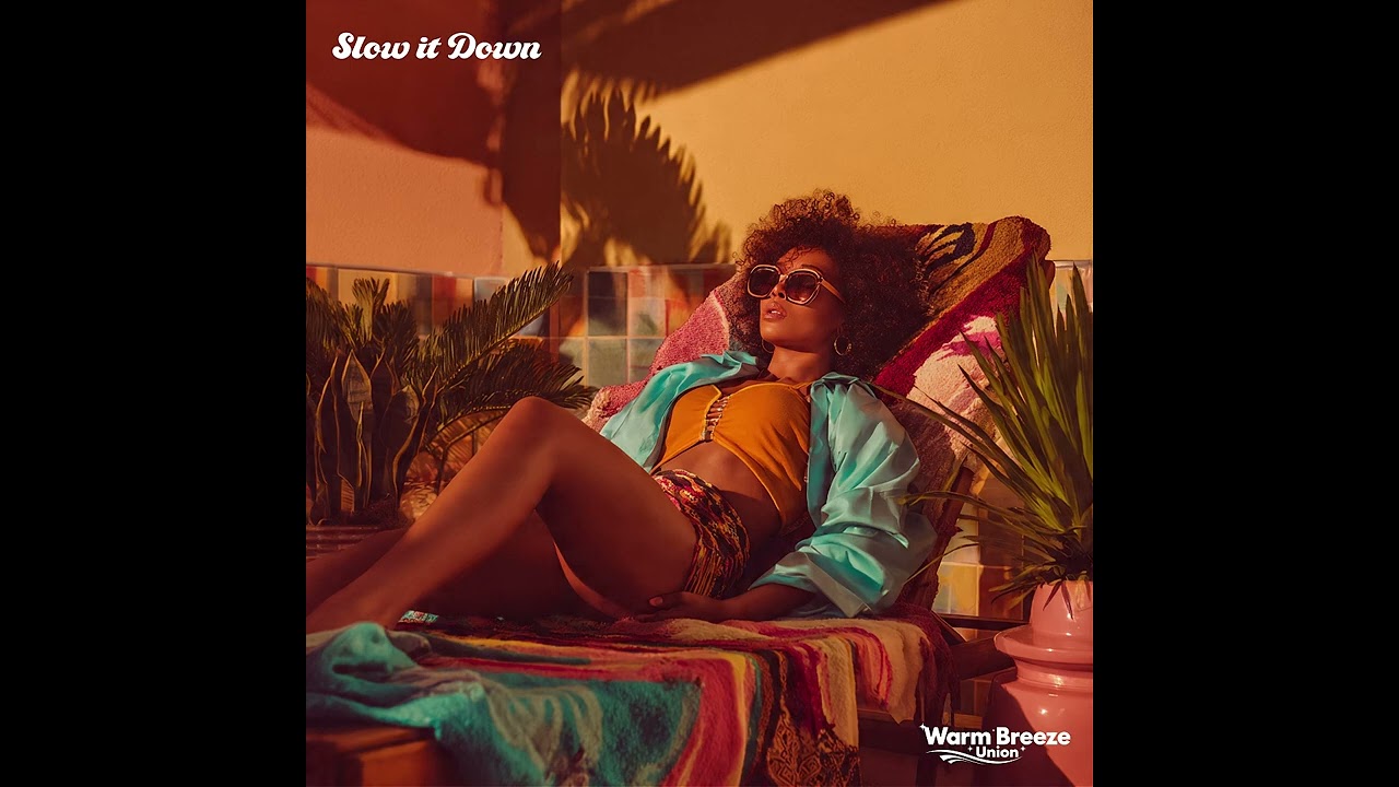 WarmBreezeUnion - Slow it Down (1970s, 1980s, R&B, Soul, Funk)