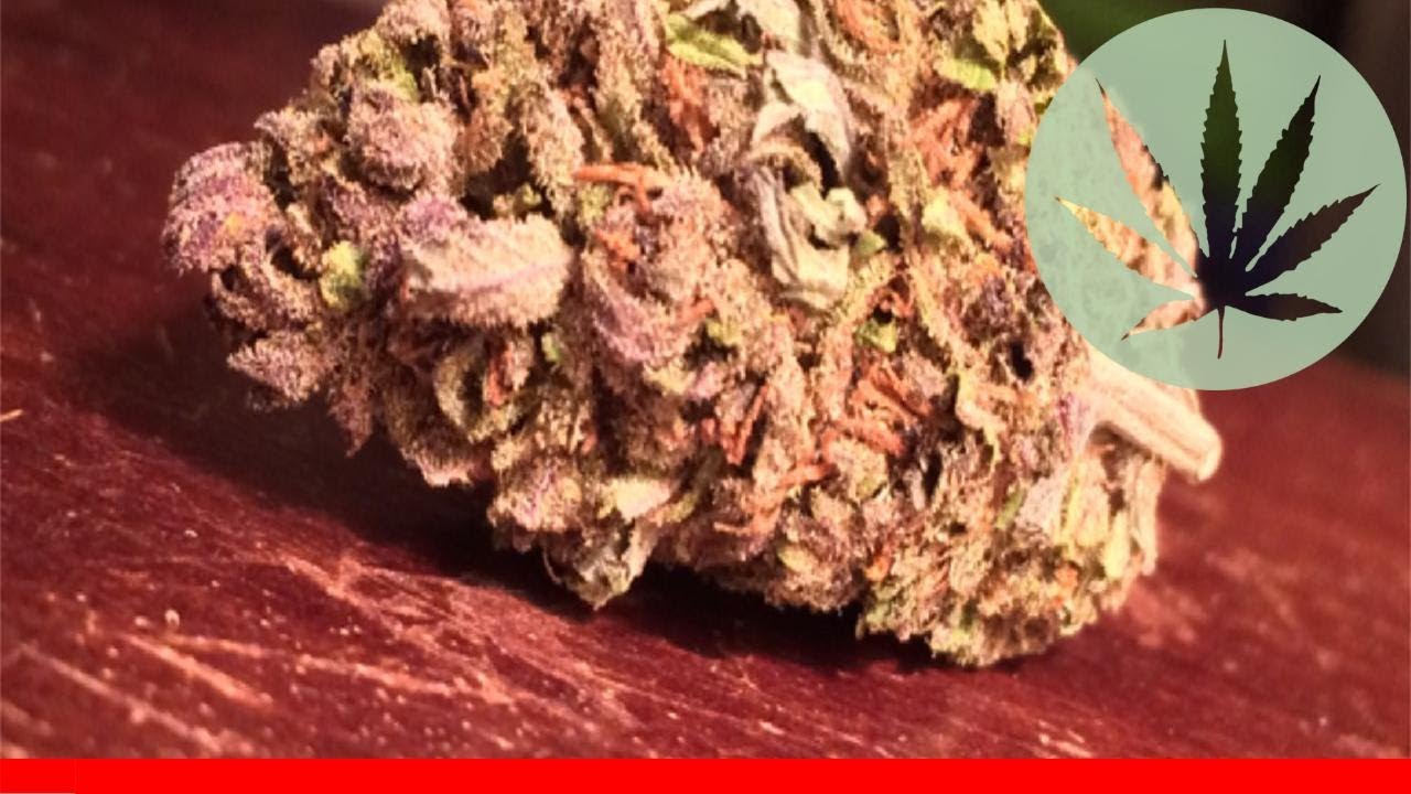 Crunch Berry Kush - All About This Strain