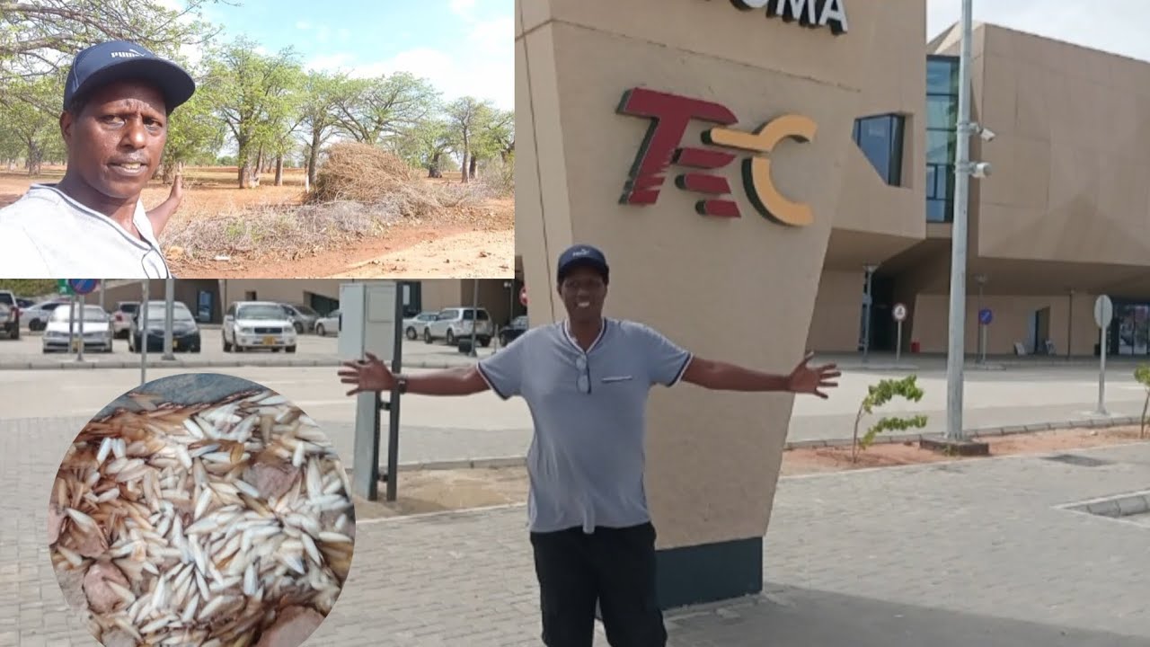 Dodoma Tanzania like Madagascar on the road trip to Kenya 🇰🇪 