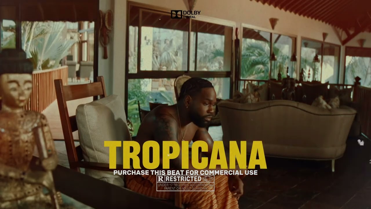 Afrobeat Instrumental 2025 | Burna Boy x Rema Type Beat 