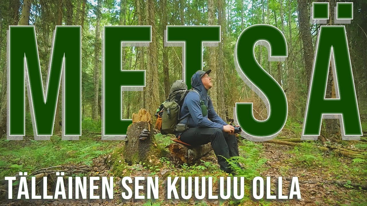 Yön yli Retki Etelä-Suomen Vanhimpaan Metsään