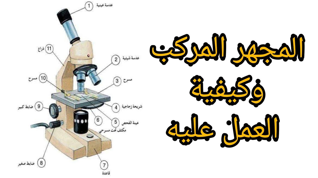 المجهر المركب وكيفية العمل عليه