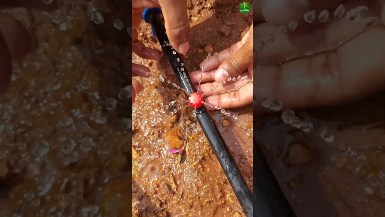 drip irrigation for home gardening!! #gardening #dripper #irrigation