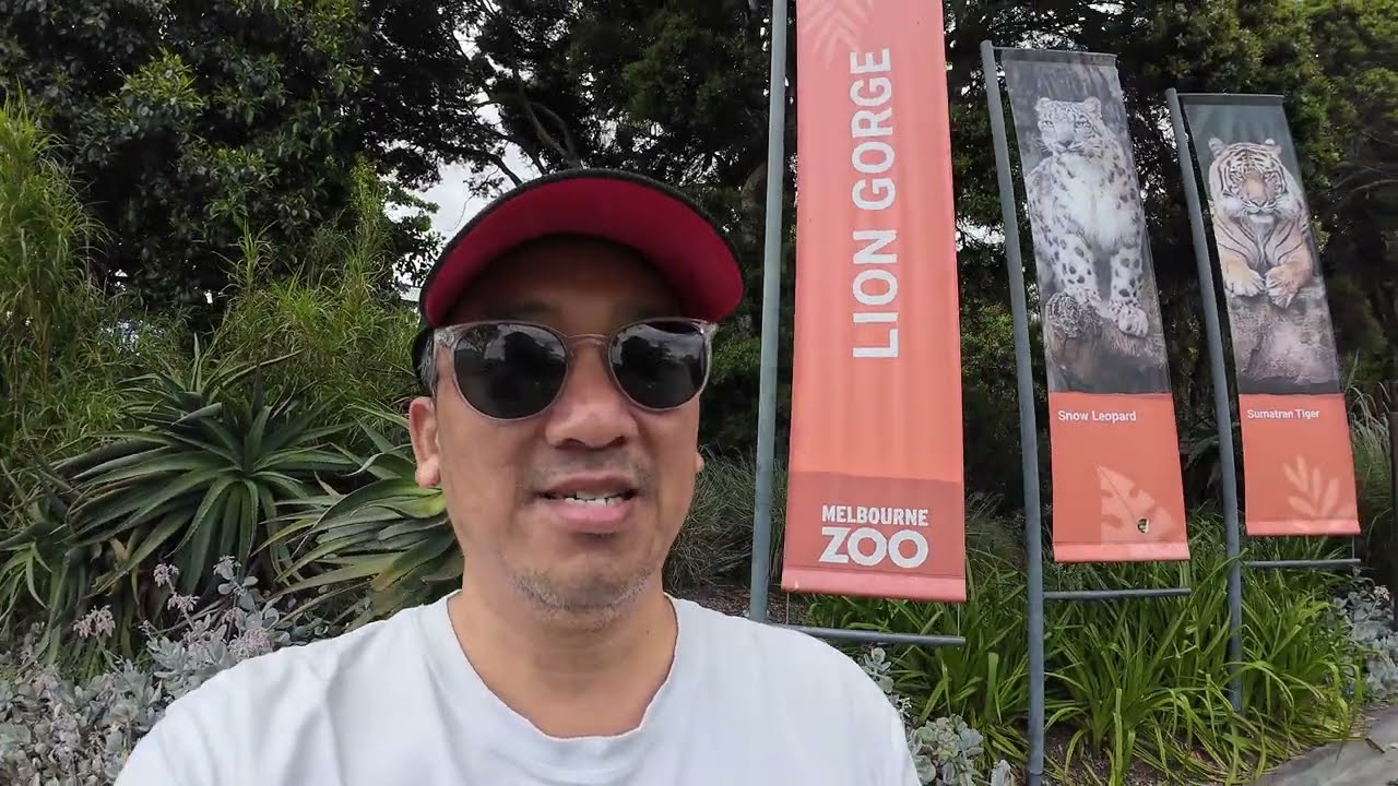 Melbourne Zoo | Lion Gorge