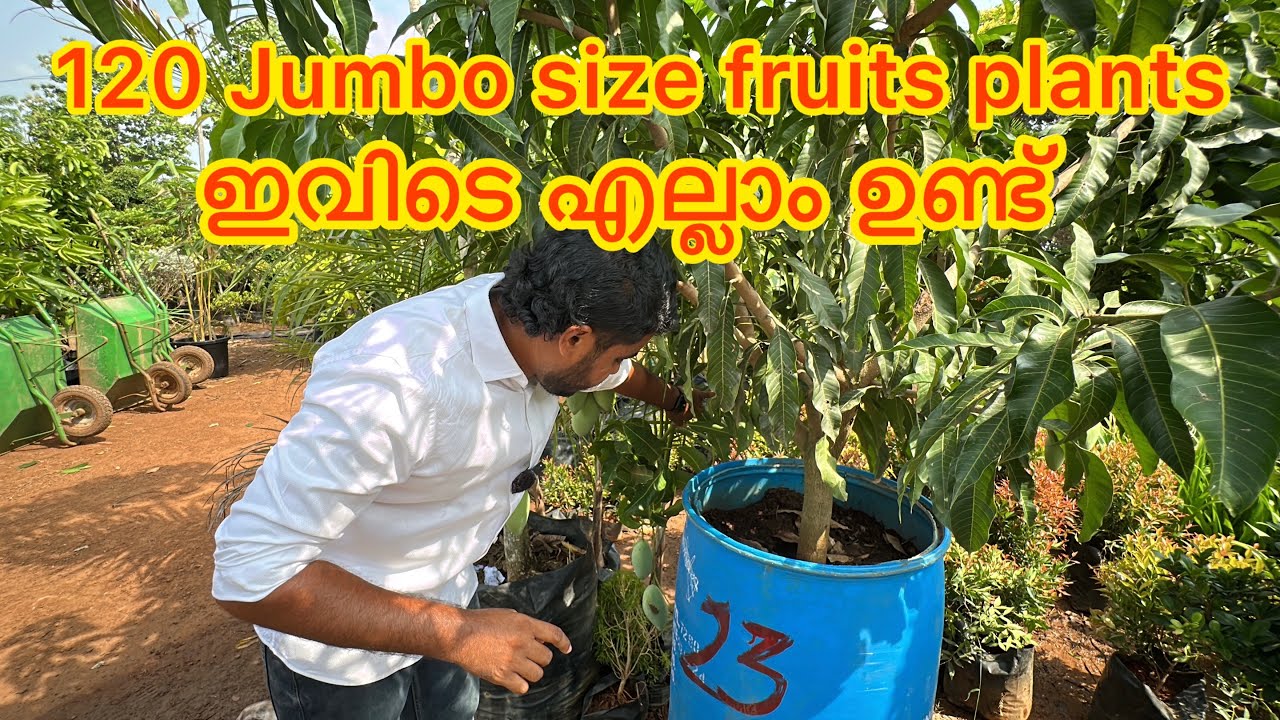 Jumbo plants loading for big landscape project...!!