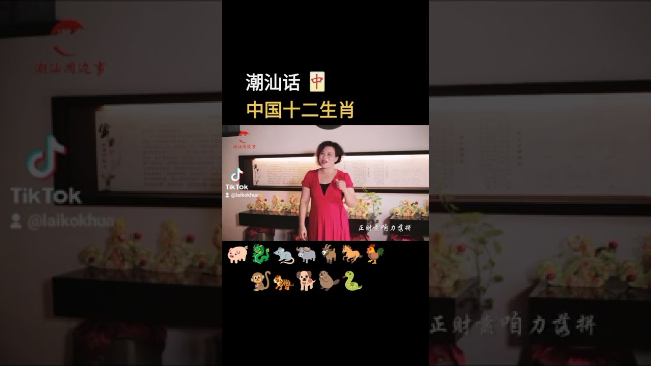 12,, CHINESE ZODIAC,, chaoshan Dialect