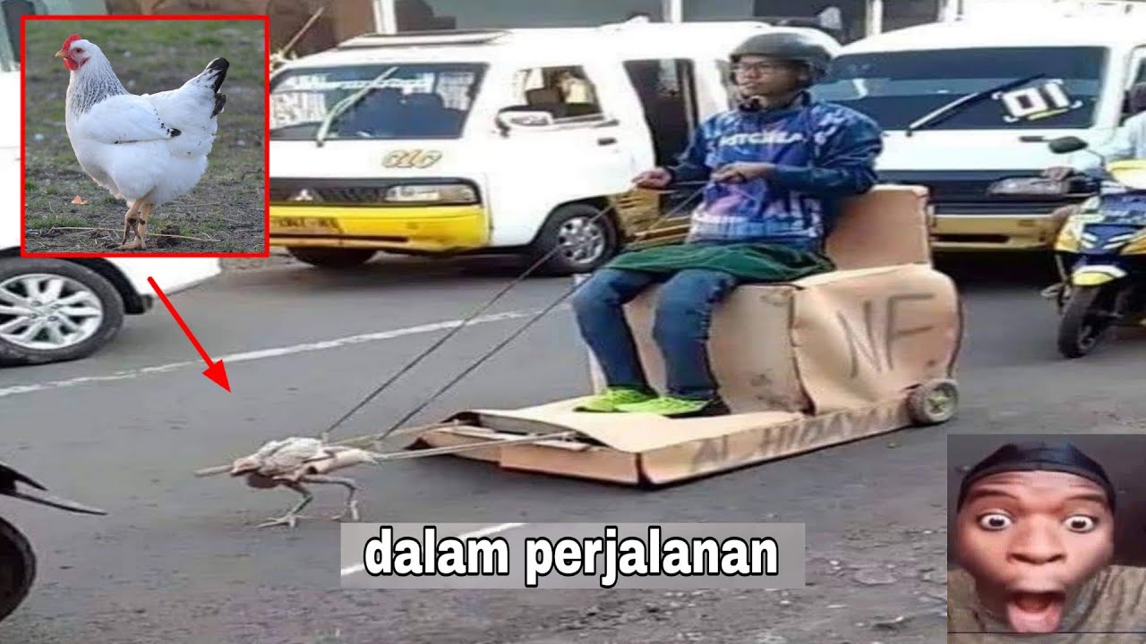 Meme Absurd Humor #19