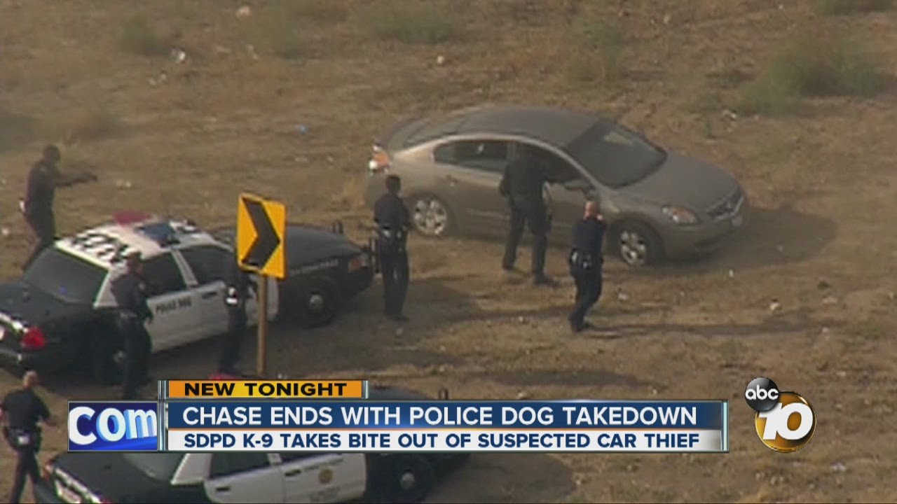 Chase ends with police dog takedown