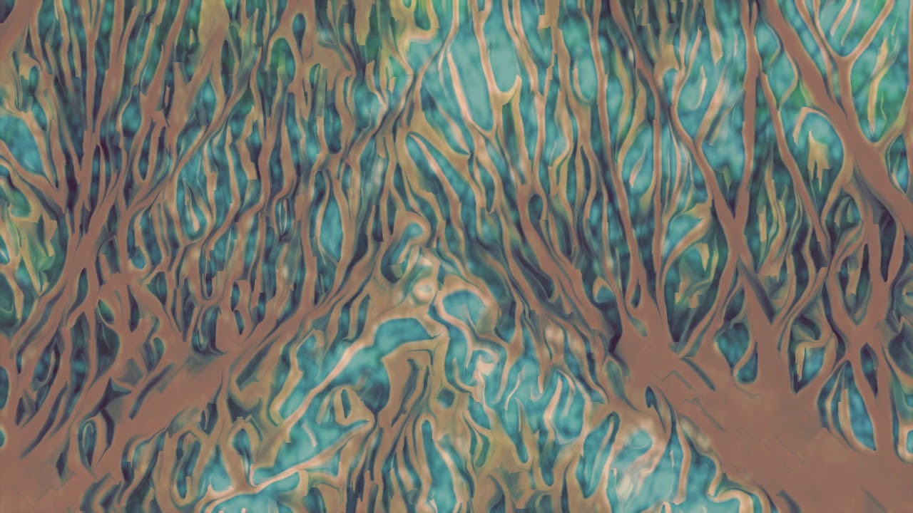 Litanies of Trees - Keir Neuringer (Ensemble Klang)