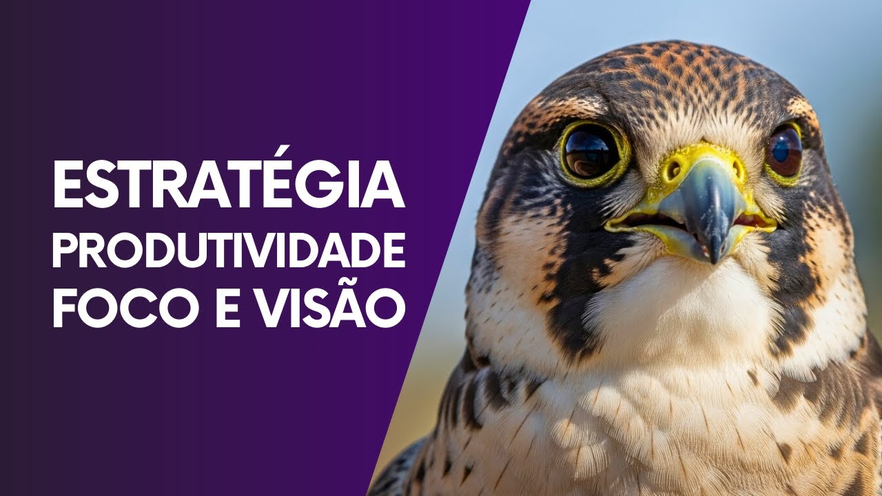 ARQUÉTIPO DO FALCÃO ATIVAÇÃO IMEDIATA para produtividade, estratégica e resultados rápidos