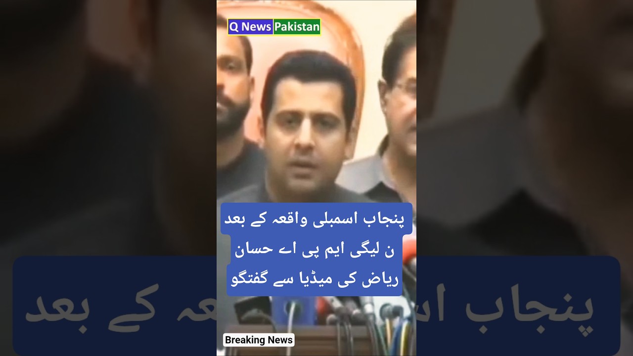 PML-N MPA Hassan Riaz talking to the media after the incident in the Punjab Assembly 