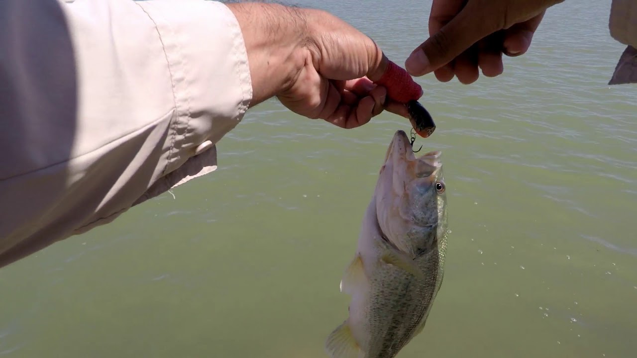 Imperial Valley Bass Fishing